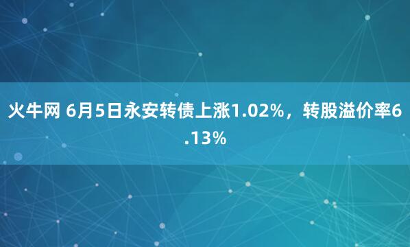 火牛网 6月5日永安转债上涨1.02%，转股溢价率6.13%