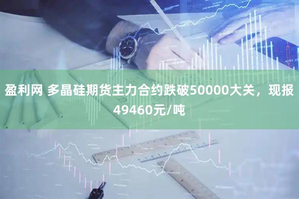 盈利网 多晶硅期货主力合约跌破50000大关，现报49460元/吨