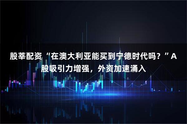 股莘配资 “在澳大利亚能买到宁德时代吗?”A股吸引力增强,外资加速涌入