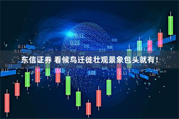 东信证券 看候鸟迁徙壮观景象包头就有！