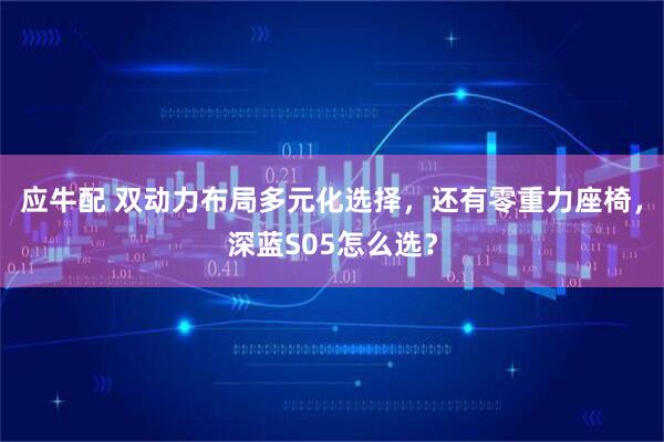 应牛配 双动力布局多元化选择,还有零重力座椅,深蓝S05怎么选?