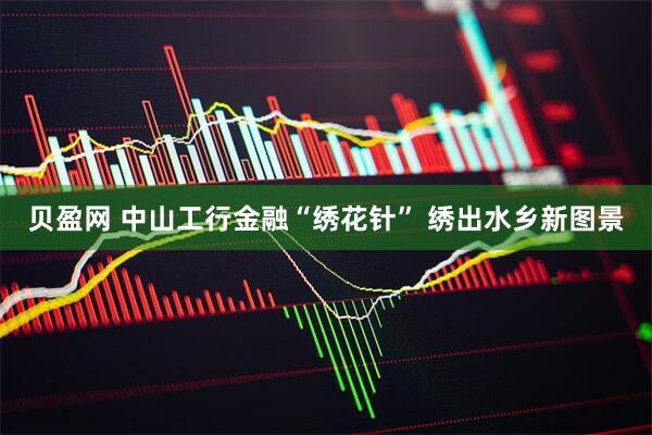 贝盈网 中山工行金融“绣花针” 绣出水乡新图景